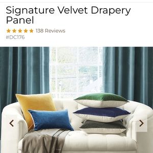 Two Ballard Designs Signature Velvet drapery Panels